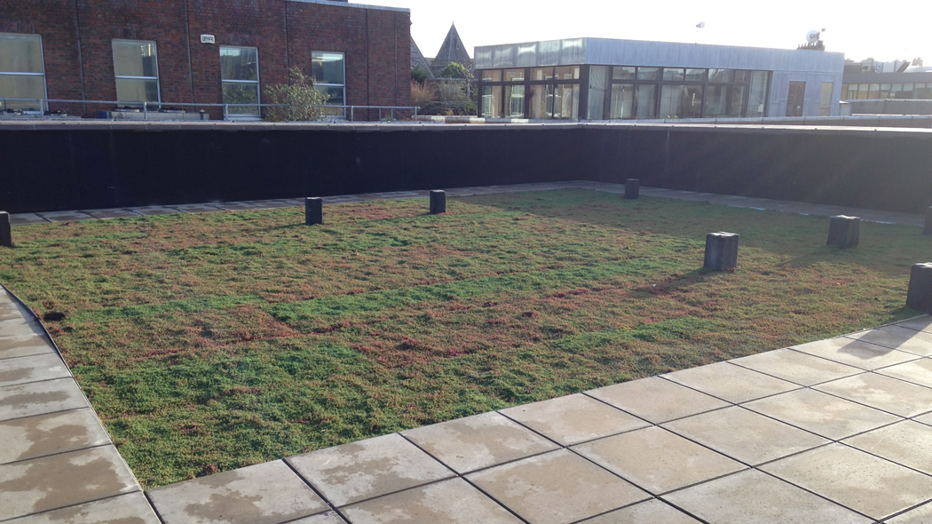 IKO Green Roof The Roof Centre