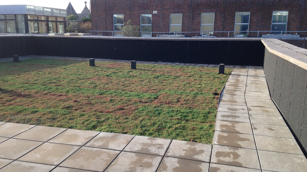 IKO Green Roof The Roof Centre